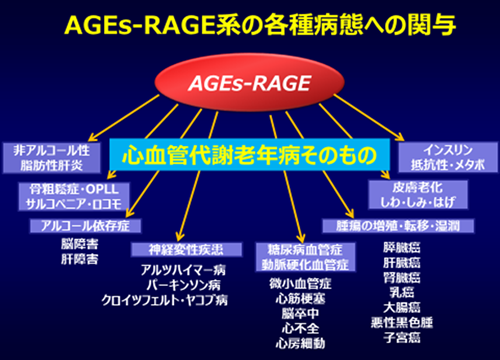 5.老化 5.老化